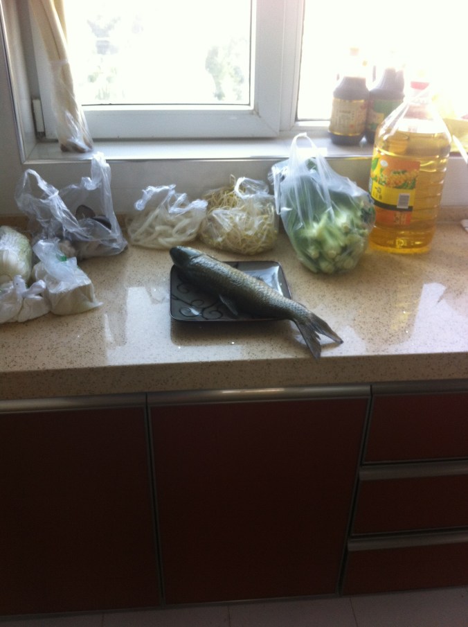 We hired a Chinese woman to come cook once a week for us. Here's her first meal, translated "Sichuan poached sliced fish in hot chili oil".