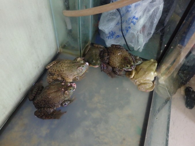 Found these at a local restaurant... check please!