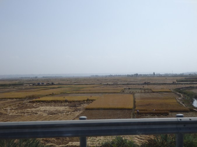 Most of what we drove through was farm land, or undeveloped land.