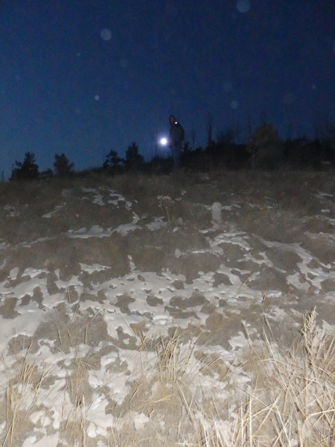 Danny leading the way up the mountain with his flashlight.