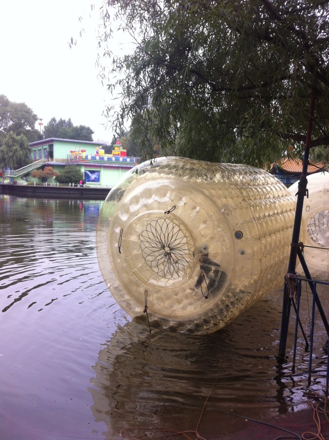 human hamster wheel on water