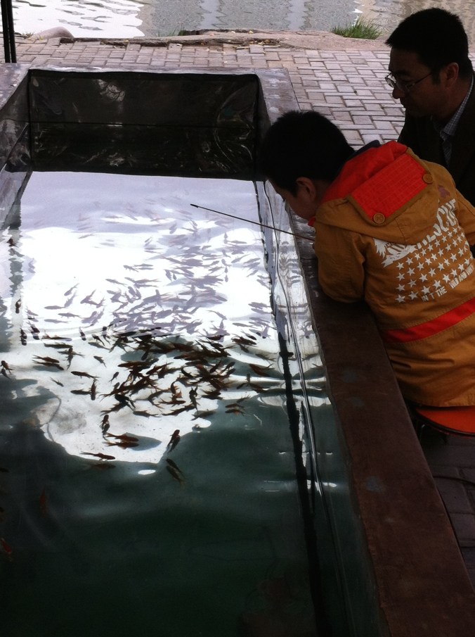 fish for gold fish...although I think it's catch and release! Really takes the fun out of it.