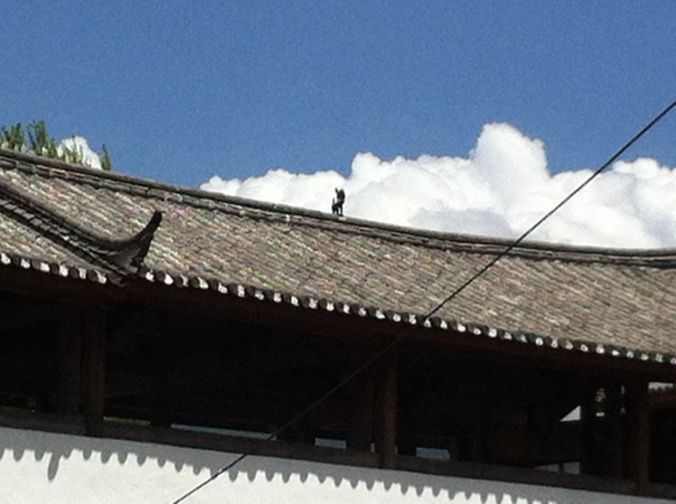 On the top of many of the homes is this statue of a lion (although Kristen thinks its a dragon). Anyways, the mouth always faces the back of the house so that it eats up the hard work from the back of the house and then poops out money in the front of the house.