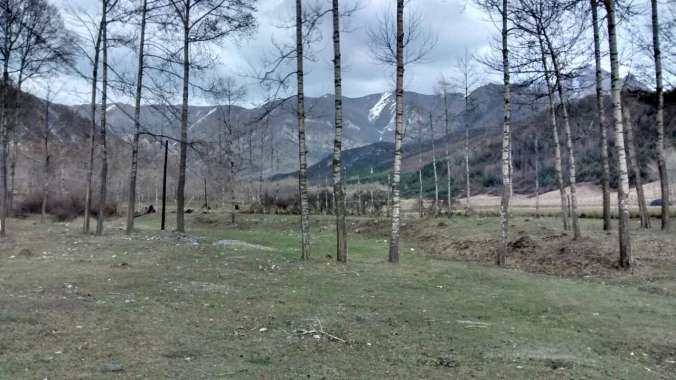 After the meal, we went on a hike. Not a bad way to burn some calories.