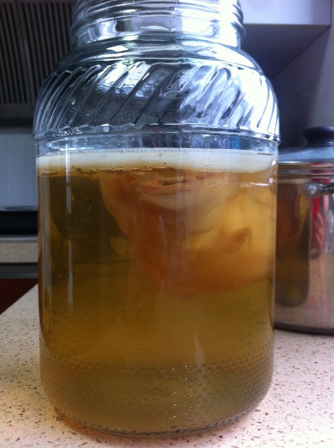 This is what Kombucha looks like while fermenting. That alien looking thing inside the tea is called a SCOBY "symbiotic 'colony' of bacteria and yeast" 