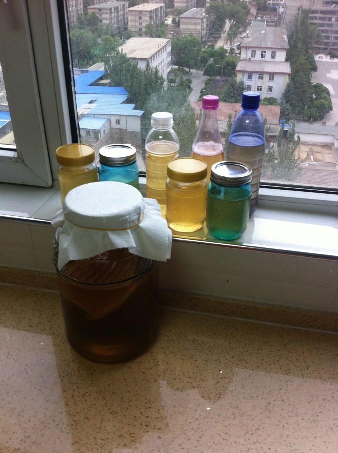 every 8 days we fill these jars with newly brewed kombucha!