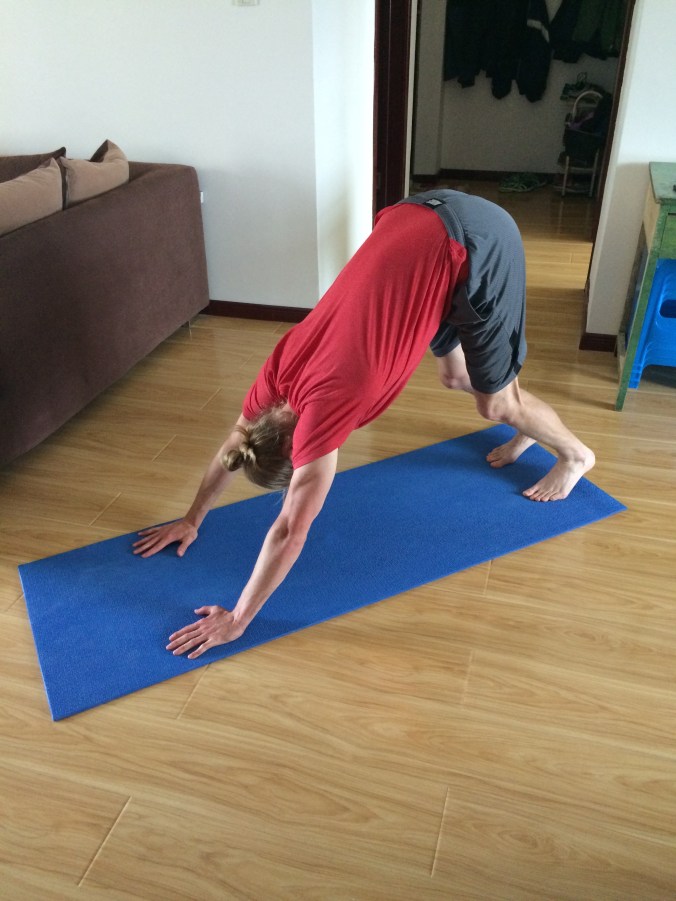 as you can see, my downward dog needs some serious help. For those who do not know the proper form...my legs should be straight, heels on the ground and my back completely flat.