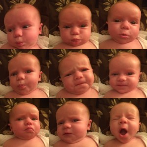 6bb3f9dc-b97c-4442-a74a-9dc930696efd